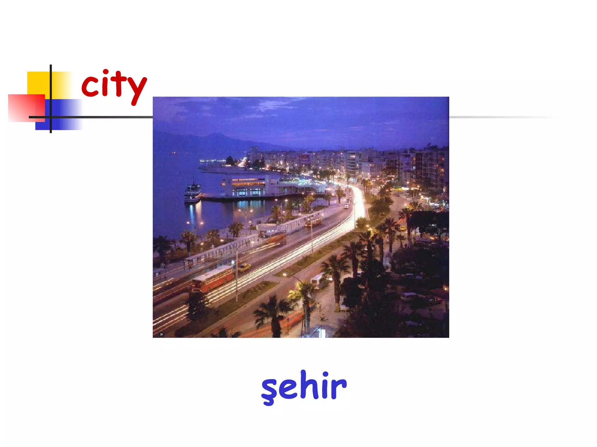 city şehir