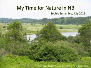 My Time for Nature in NB
                   Sophie Essiambre, July 2012




        NCC New Horton Nature Reserve In New Brunswick
 