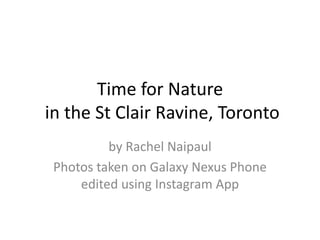 Time for Nature
in the St Clair Ravine, Toronto
          by Rachel Naipaul
 Photos taken on Galaxy Nexus Phone
     edited using Instagram App
 