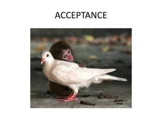 ACCEPTANCE
 