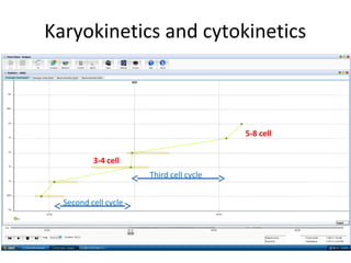 Karyokinetics and cytokinetics
Second cell cycle
Third cell cycle
3-4 cell
5-8 cell
 