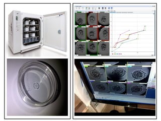 HDHDGHGDGHHHHHHHHHHHHHHH
JJJJJJJJJJJJJJJJJJJJJJJJJJJJJJJJ
JJJJJJJJJJJJJJJJJJ
JJJJJJJJJJJJJJJJ
JJJJJJJJJJJJJJJJJJJJJ
JJJJJJJJJJJJJJJJJJJJJJ
JJJJJJJJJJJJJJJJJJJJJJJJJJ
JJJJJJJJJJJJJJJJJJJJJJJJJJ
JJJJJJJJJJJJJJJJJJJJ
 