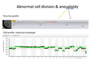 Time line profile
e
Time line profile
e
eCGH profile- molecular karyotype
3-4 Cells
Abnormal cell division & aneuploidy
 