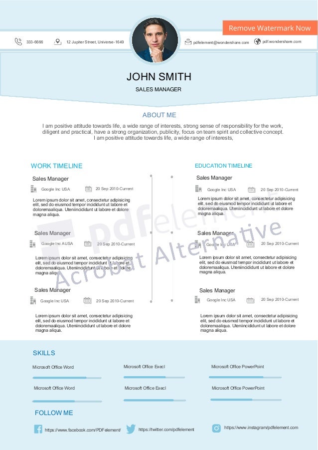 Free Professional Resume Template Timeless Lite