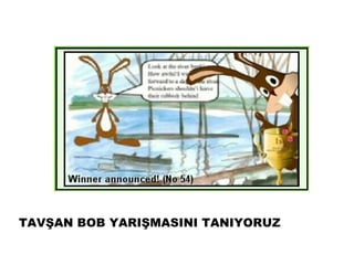TAVŞAN BOB YARIŞMASINI TANIYORUZ
 