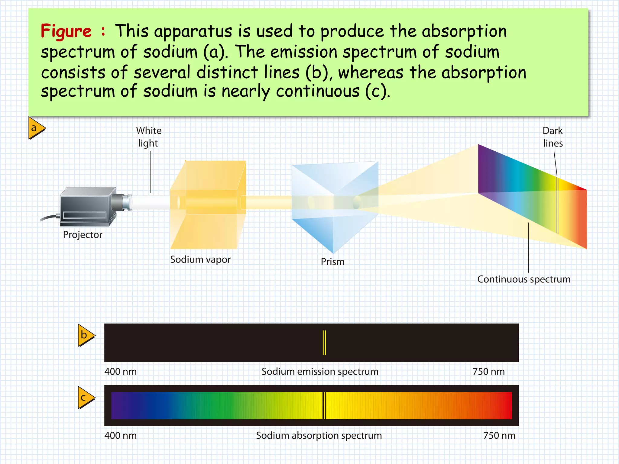 Figure : This apparatus is used to produce the absorption
spectrum of sodium (a). The emission spectrum of sodium
consists of several distinct lines (b), whereas the absorption
spectrum of sodium is nearly continuous (c).
 