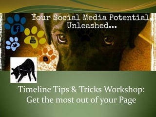 Timeline Tips & Tricks Workshop:
  Get the most out of your Page
 