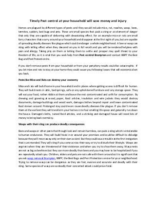 Timely Pest control at your household will save money and injury
Homes are plagued by different types of pests and they would include mice, rat, roaches, wasp, bees,
termites, spiders, bed bugs and ants. These are small species that pack a sting or an element of danger
that only they are capable of delivering with devastating effect. For an example mice or rats are small
furry characters that scurry around your household and disappear at the first sight of you, but are capable
of spreading deadly diseases like plague which could endanger a whole neighborhood. A bee or wasp can
sting with telling effect when they descend on you in full wrath and you will be rendered helpless with
pain and allergy. Taking pity on them or letting them to settle and prosper may spell threat to your
freedom of life, so it is vital that you seek help from Pest control Brampton and contact BBPP the Best
Bug and Pest Protection Inc.
If you don’t remove pests from your household or from your periphery results could be catastrophic. If
you let mice and rats to stay at your home they could cause you following losses that will economical set
you back.
Pests like Mice and Rats can destroy your economy
Mice and rats will build home in your household and in places where getting access is difficult for human.
They will build nests in attic, bed springs, sofa or any upholstered furniture and any storage space. They
will eat your food, rather nibble at them and leave the rest contaminated and unfit for consumption. By
chewing and gnawing at wood, paper, food articles, insulation and wire jackets they would destroy
documents, damage buildings and wood work, damage clothes beyond repair and leave contaminated
food strewn around. Prolonged stay could even cause deadly diseases like plague. If you don’t remove
them at the earliest they will transform your homes in to foul smelling life space and generally run down
the house. Damaged cloths, ruined food articles, and a stinking and damaged house will need lots of
money to bring back normalcy.
Wasps with their sting can produce deadly consequences
Bees and wasps or other pests that though look and remain harmless, can pack a sting which is intolerable
to human endurance. They will build hives in or around your premises and could be difficult to dislodge
because they will move away only on their own accord. But they could cause trouble at the first instigation
that is unintended. They will sting if you come across their way or try to disturb their lifestyle. Wasps are
angriest when they are threatened of their existence and when you try to shoo them away. Wasp nests
are not as big as beehives but they can more deadly than bees and you may have to be hospitalized if you
are repeatedly attack you. Children, elders and pets are not safe with them around so it is significant that
you ask wasp removal Brampton, BBPP, the Best Bugs and Pest Protection service for your neighborhood.
Trying to remove wasp can be dangerous as they are fast, evasive and accurate and deadly with their
sting. Some species of wasp are so deadly their concerted attack could prove fatal.
 