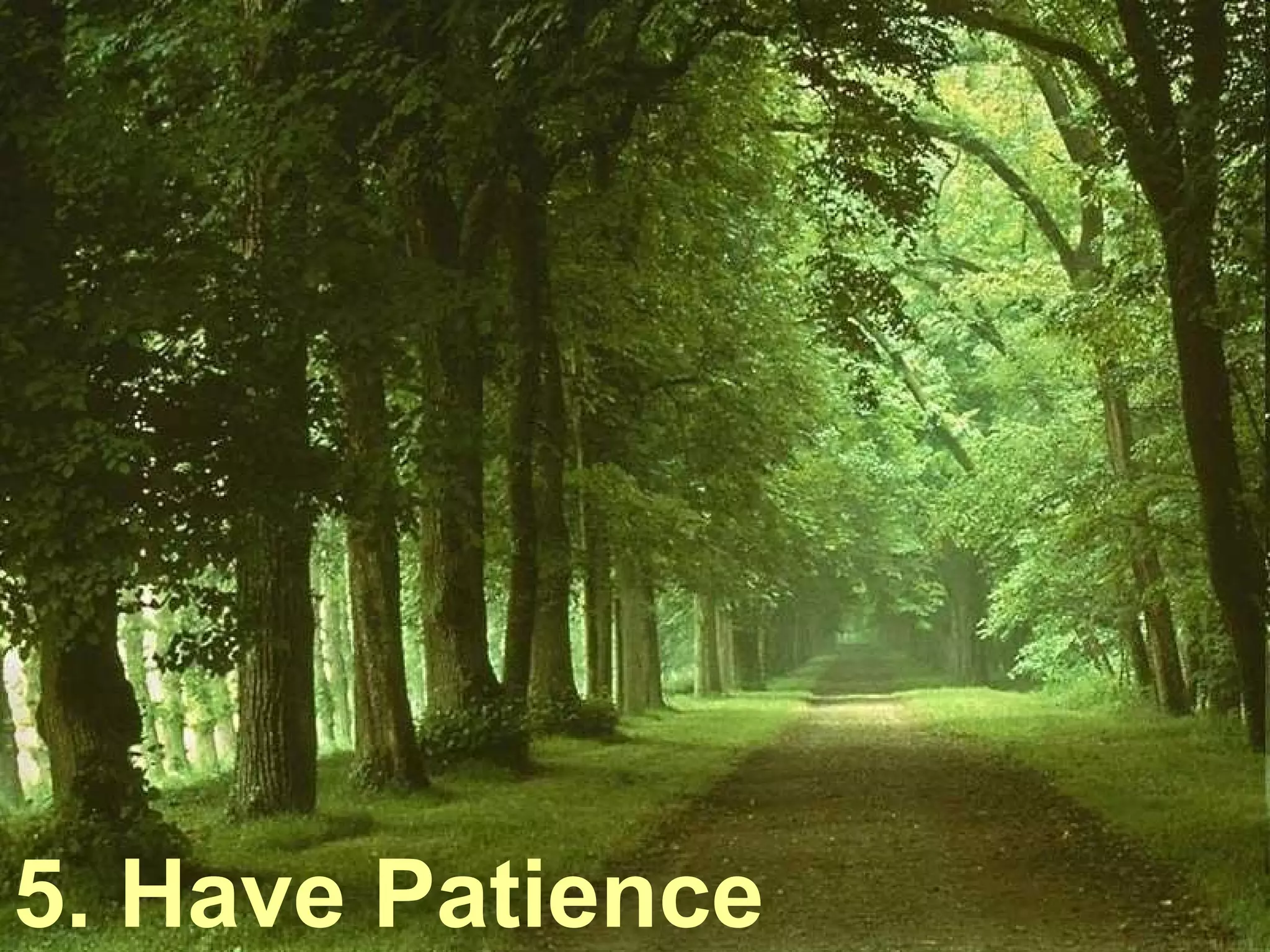 5. Have Patience 
