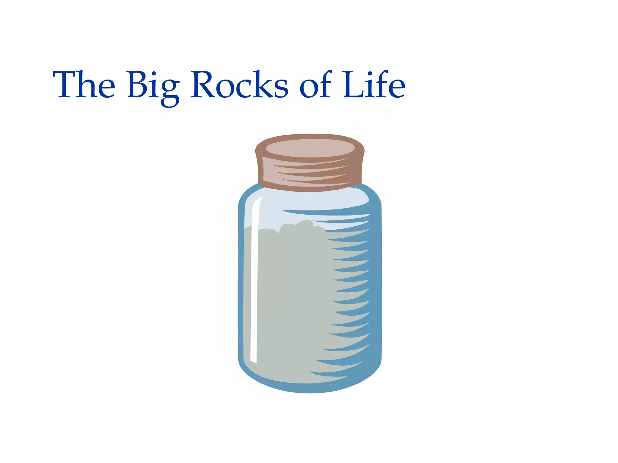 The Big Rocks of Life
 