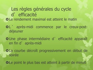 Les règles générales du cycle 
d’efficacité 
Le rendement maximal est atteint le matin 
L ’ après-midi commence par le creux-post-déjeuner 
Une phase intermédiaire d’efficacité apparaît 
en fin d’après-midi 
La courbe décroît progressivement en début de 
soirée 
23Le point le plus bas est atteint à partir de minuit 
 
