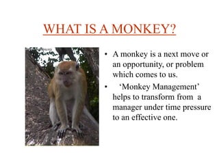 WHAT IS A MONKEY?
• A monkey is a next move or
an opportunity, or problem
which comes to us.
• ‘Monkey Management’
helps to transform from a
manager under time pressure
to an effective one.
 