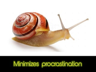 Minimizes procrastination
 
