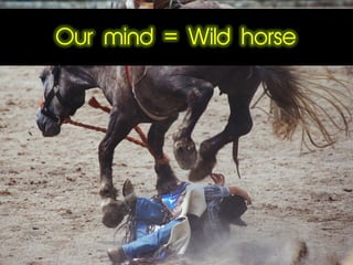 Our mind = Wild horse
 