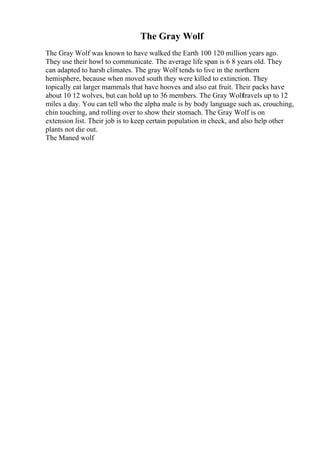 The Gray Wolf
The Gray Wolf was known to have walked the Earth 100 120 million years ago.
They use their howl to communicate. The average life span is 6 8 years old. They
can adapted to harsh climates. The gray Wolf tends to live in the northern
hemisphere, because when moved south they were killed to extinction. They
topically eat larger mammals that have hooves and also eat fruit. Their packs have
about 10 12 wolves, but can hold up to 36 members. The Gray Wolftravels up to 12
miles a day. You can tell who the alpha male is by body language such as, crouching,
chin touching, and rolling over to show their stomach. The Gray Wolf is on
extension list. Their job is to keep certain population in check, and also help other
plants not die out.
The Maned wolf
 