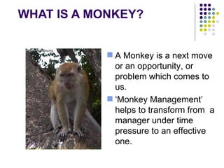 WHAT IS A MONKEY? <ul><li>A Monkey is a next move or an opportunity, or problem which comes to us. </li></ul><ul><li>‘ Mon...
