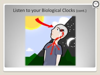 Listen to your Biological Clocks (cont.)
 
