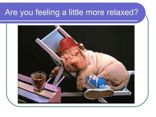 Are you feeling a little more relaxed?
 