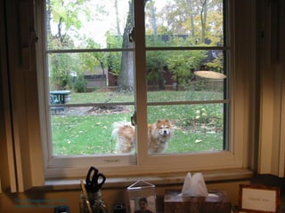 Time Management, Gihan
AboulEish, November 2011   53
 