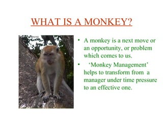 WHAT IS A MONKEY?
• A monkey is a next move or
an opportunity, or problem
which comes to us.
• ‘Monkey Management’
helps to transform from a
manager under time pressure
to an effective one.
 