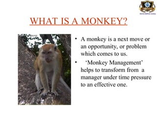 WHAT IS A MONKEY?
• A monkey is a next move or
an opportunity, or problem
which comes to us.
• ‘Monkey Management’
helps to transform from a
manager under time pressure
to an effective one.
 
