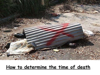 How to determine the time of death 