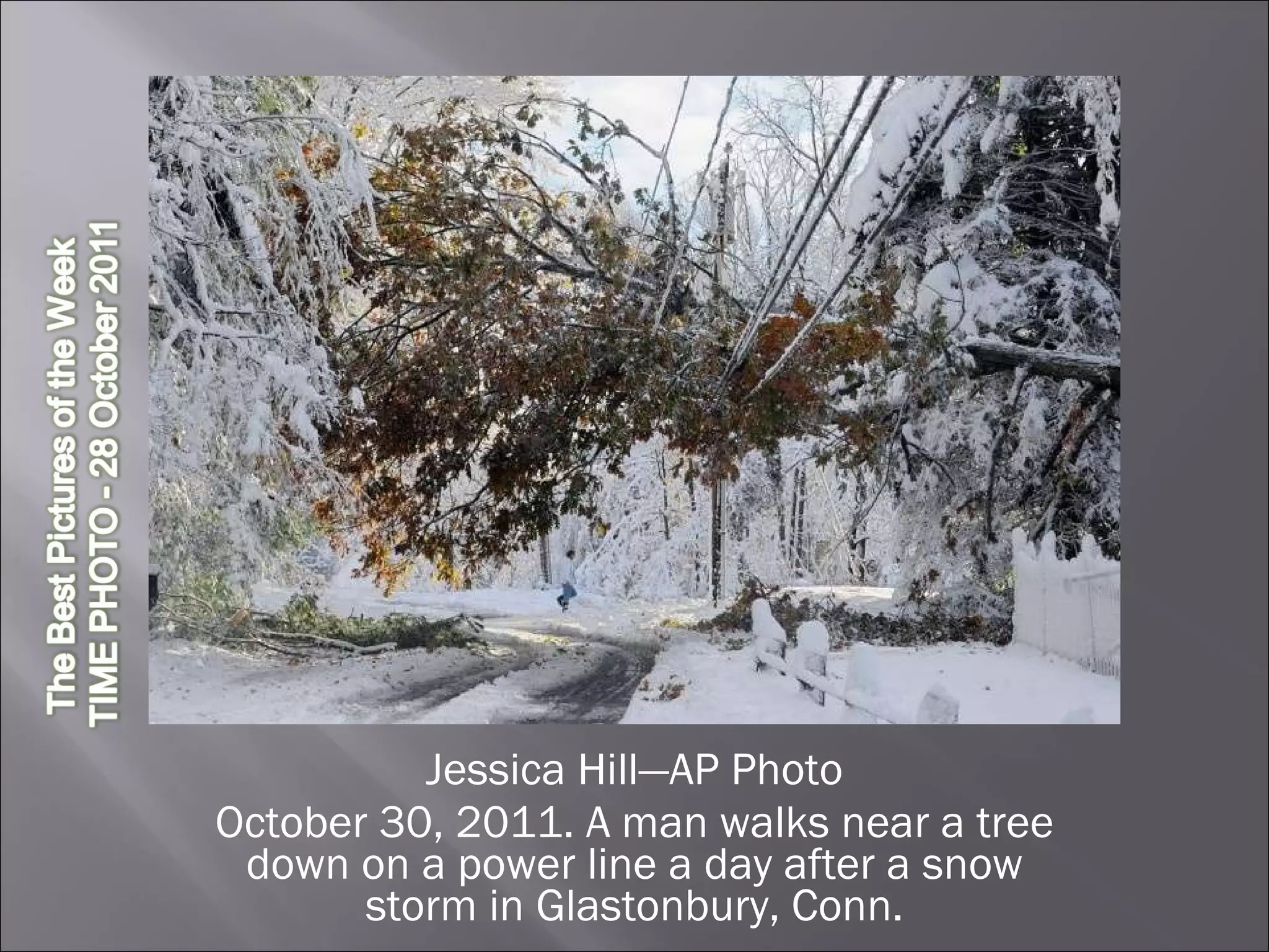 Jessica Hill—AP Photo October 30, 2011. A man walks near a tree down on a power line a day after a snow storm in Glastonbury, Conn. 