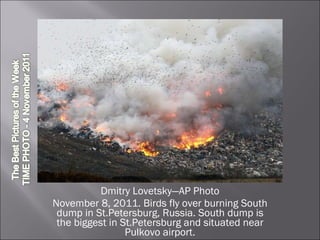 Dmitry Lovetsky—AP Photo November 8, 2011. Birds fly over burning South dump in St.Petersburg, Russia. South dump is the biggest in St.Petersburg and situated near Pulkovo airport. 