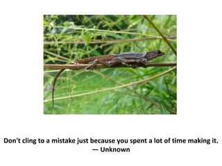 Don't cling to a mistake just because you spent a lot of time making it.
― Unknown
 