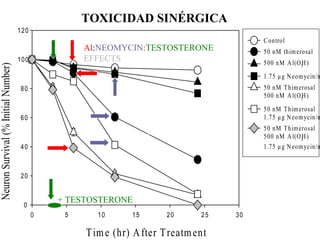 TOXICIDAD SINÉRGICA
                                     12 0
                                                                                              C ontrol
                                                     Al:NEOMYCIN:TESTOSTERONE                 50 nM thim erosal
                                     10 0            EFFECTS                                  500 nM A l(O 3H )
Neuron Survival (% Initial Number)




                                                                                              1.75 µ g N eom ycin/m
                                      80                                                      50 nM T him erosal
                                                                                              500 nM A l(O 3H )
                                                                                              50 nM T him erosal
                                      60                             50 NANOMOLAR             1.75 µ g N eom ycin/m
                                                                                              50 nM T him erosal
                                                                     THIMEROSAL               500 nM A l(O 3H )
                                      40                                                      1.75 µ g N eom ycin/m


                                                                                           DR. MARK
                                      20
                                                                                           LOVELL
                                                                                           COLLABORATOR
                                                + TESTOSTERONE
                                       0
                                            0    5     10       15       20      25   30
                                                                                                          52

                                                     T im e (hr) A fter T reatm ent
 