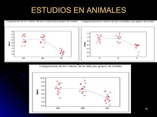 ESTUDIOS EN ANIMALES




                       58
 