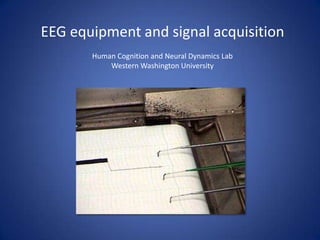 EEG equipment and signal acquisition
       Human Cognition and Neural Dynamics Lab
           Western Washington University
 