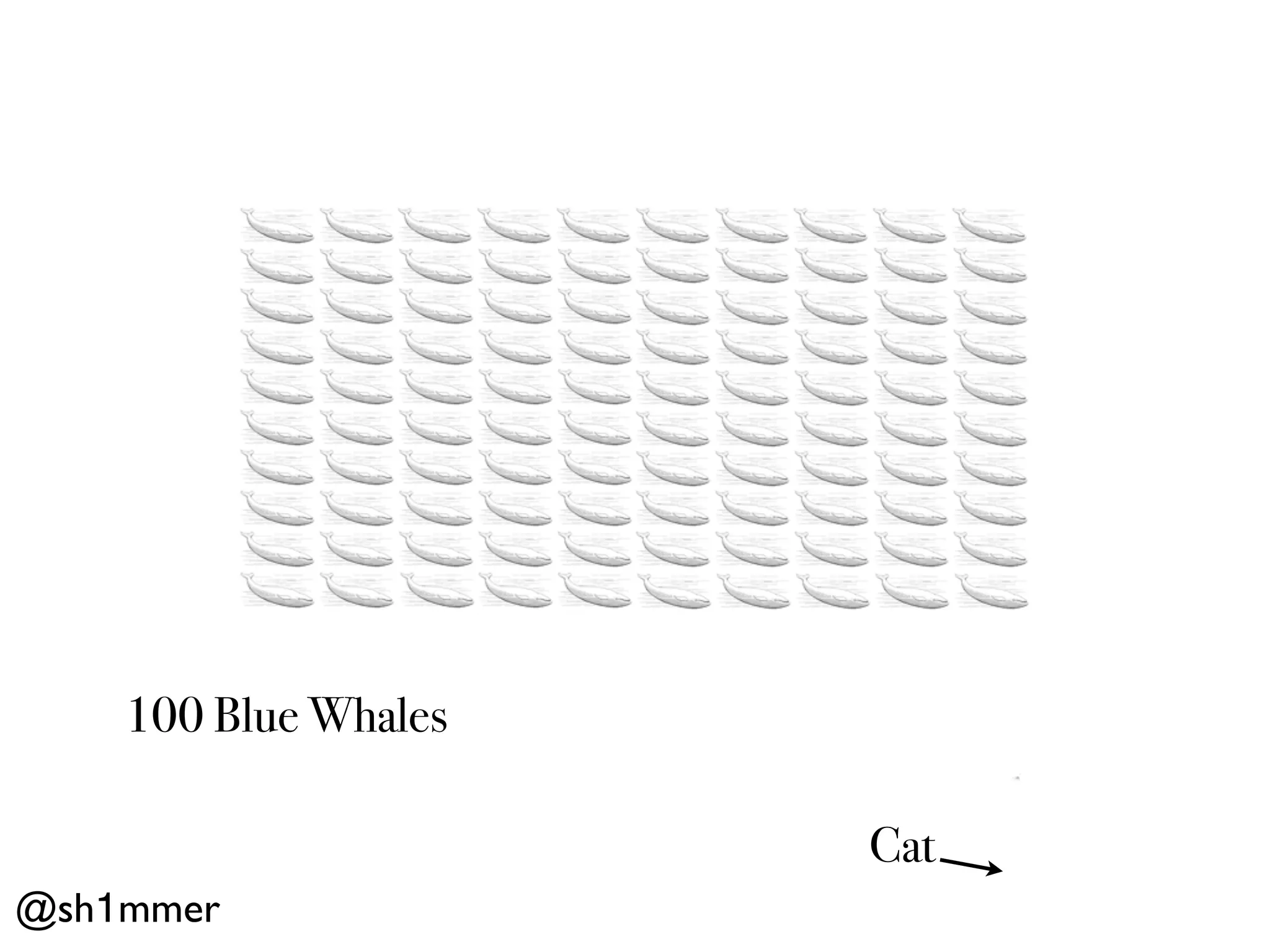 100 Blue Whales

                      Cat
@sh1mmer
 