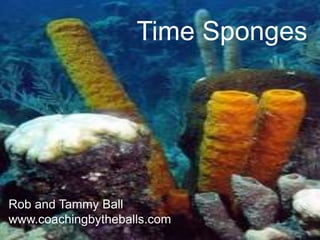 Time Sponges




Rob and Tammy Ball
www.coachingbytheballs.com
 