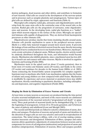 Time table of normal foetal brain development | PDF