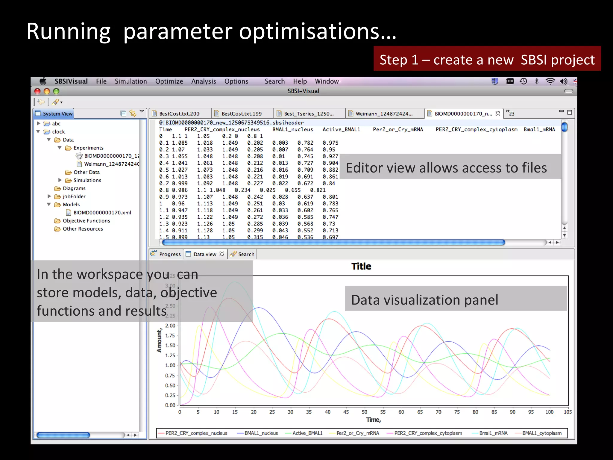 In the workspace you  can  store models, data, objective functions and results Editor view allows access to files Data visualization panel Step 1 – create a new  SBSI project Running  parameter optimisations… 