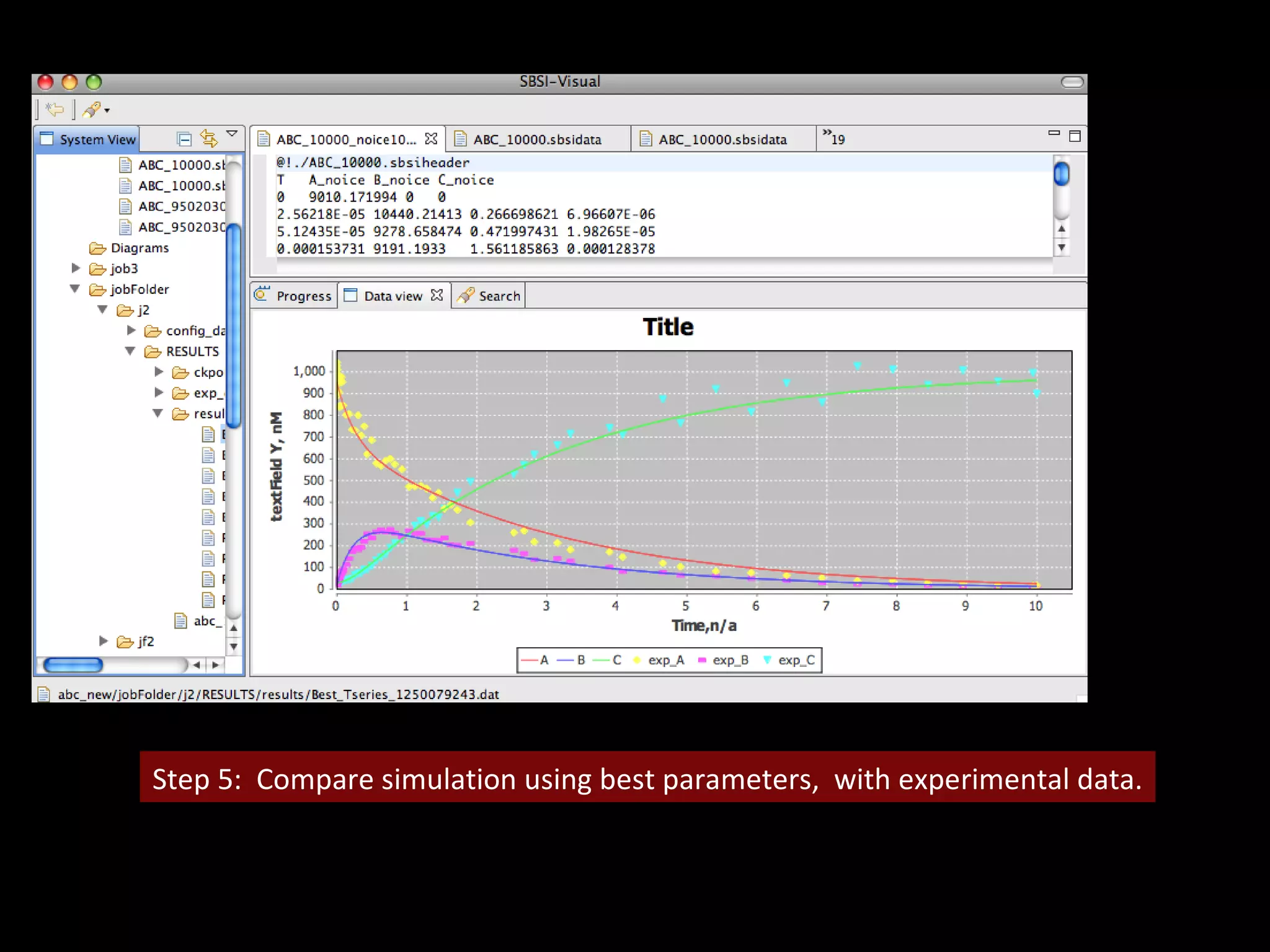 Step 5:  Compare simulation using best parameters,  with experimental data. 