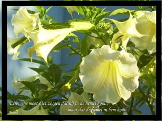 Maria Een mens moet niet zorgen dat hij in de hemel komt,  maar dat de hemel in hem komt 