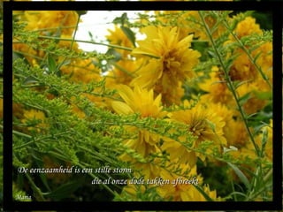 Maria De eenzaamheid is een stille storm  die al onze dode takken afbreekt 