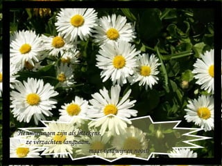 Maria Herinneringen zijn als littekens,  ze verzachten langzaam,  maar verdwijnen nooit. 