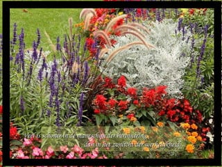 Maria Veel is schoner in de maneschijn der herinnering,  dan in het zonlicht der werkelijkheid. 