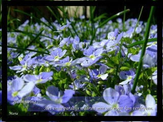 Maria Herinnering :  Het enige paradijs waaruit men ons nooit kan verdrijven. 