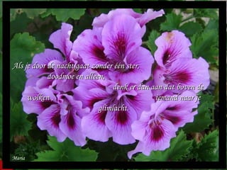 Maria Als je door de nacht gaat zonder één ster,  doodmoe en alleen,  denk er dan aan dat boven de wolken ,  iemand naar je glimlacht. 