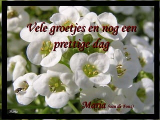 Maria Vele groetjes en nog een prettige dag Maria  (van de Fons) 
