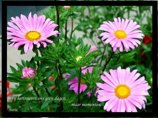 Maria Wij herinneren ons geen dagen,  maar momenten. 