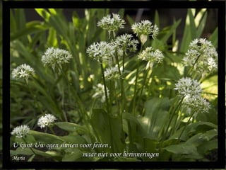 Maria U kunt Uw ogen sluiten voor feiten ,  maar niet voor herinneringen 