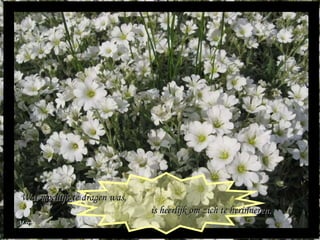 Maria Wat moeilijk te dragen was,  is heerlijk om zich te herinneren. 