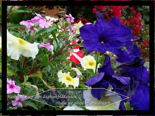 Maria Herinneringen zijn dagboekbladzijden,  die we altijd bij ons dragen. 