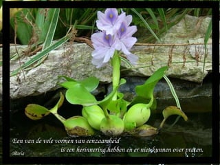 Maria Een van de vele vormen van eenzaamheid  is een herinnering hebben en er niet kunnen over praten. 