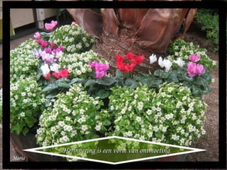 Maria Herinnering is een vorm van ontmoeting. 